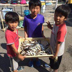 マリーナシティ海釣り公園　サビキでアジ好調です