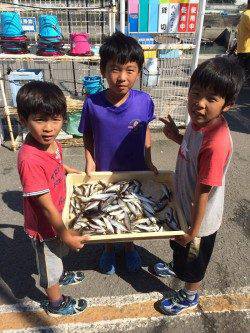 マリーナシティ海釣り公園　サビキでアジ好調です