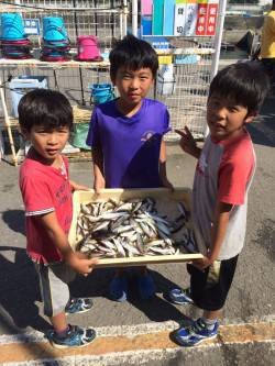 マリーナシティ海釣り公園　サビキでアジ好調…