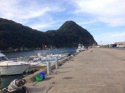 竹野港　エギングでアオリイカ　合間にルアーでチャリコもヒット