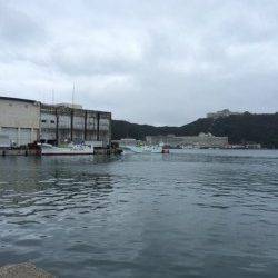 勝浦漁港でライトソルトゲーム♪　オオモンハタをキャッチ