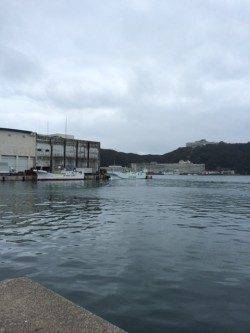 勝浦漁港でライトソルトゲーム♪　オオモンハタをキャッチ