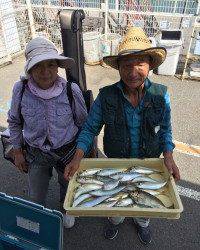 飛ばしサビキでアジ・アイゴなど　和歌山マリーナシティ海釣り公園
