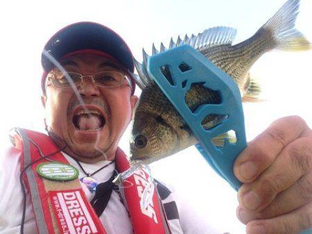 舞洲アジング　イワシが回っておりアジは渋か…