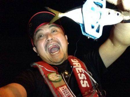 舞洲アジング釣行　AM03:00頃に4匹釣…