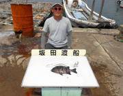 黒島の磯の底物釣り　イシダイを6枚！