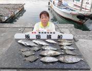 黒島の筏　チヌ・カワハギ・アイゴ、いずれも…