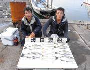 湾内の筏にてチヌ・マルアジ・アイゴ