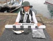 黒島の磯　アオリイカ新子とシオの釣果