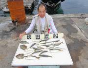 湾内の筏にてチヌ・ヘダイの釣果　ほか良型マルアジも