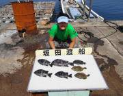 黒島の磯　イシダイ4枚など底物が好調でした…