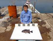 黒島の磯　イシダイ4枚など底物が好調でした