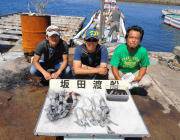 黒島の磯　アオリイカの新子好調　エギングで…