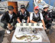 黒島の磯　エギングでアオリイカ新子の釣果