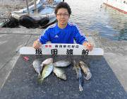 黒島の筏	アイゴとアオリイカの釣果