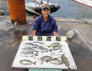 湾内の筏　コーンとアケミ丸貝でチヌ・アイゴ…