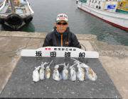 黒島の磯　エギングでのアオリイカの釣果