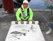 湾内の筏・黒島の筏　アケミの丸貝とオキアミでチヌの釣果