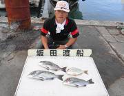 黒島の筏でチヌ&黒島の磯でイシダイの釣果