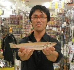 天橋立の投げ釣りでジャンボキス30.2cm