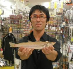 天橋立の投げ釣りでジャンボキス30.2cm…