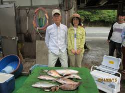 【15日】田井の釣り堀釣果　メジロ&…