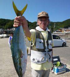 沖一文字内むきでノマセ釣り　メジロがヒットしました