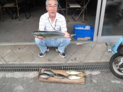 有田・カマ磯でフカセ釣り　アイゴにハマチ6…