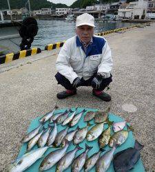 ヒラバエにてカゴ釣りでイサギ・ハマチなど　今のイサギは美味しいです