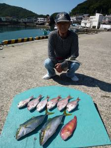 カゴつりで青物！神谷一文字での釣果