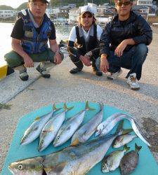 神谷　沖一文字内向きでノマセ釣りでブリの釣果