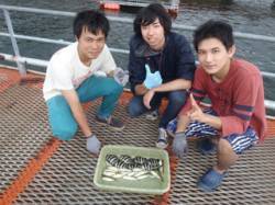 サビキでサンバソウ&アジ　須磨海づ…