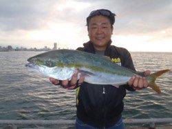 須磨海づり公園　アジをエサにメジロ65cm！