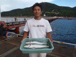 須磨海づり公園　カラバリでハマチ2本