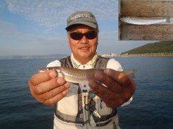 須磨海づり公園　投げ釣りでナイスサイズのキス