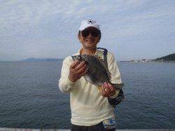 須磨海づり公園　マムシをエサにチヌの釣果