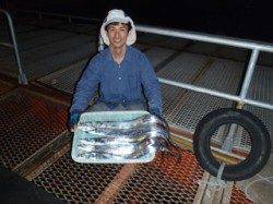 須磨海づり公園　タチウオテンヤでタチウオの釣果