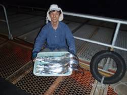 須磨海づり公園　タチウオテンヤでタチウオの…