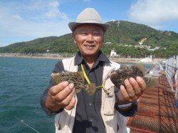 須磨海づり公園　落とし込みでカワハギの釣果