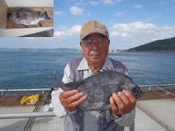 胴突きでイシダイ記録賞！須磨海づり公園