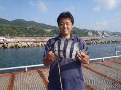 須磨海づり公園　落とし込みでイシダイ31cm