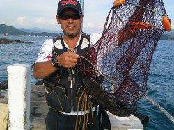 湯浅の磯　紀州釣りでチヌ　エサはボイル・ねりえ・コーンで