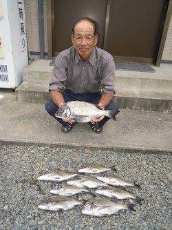 湯浅の磯　紀州釣りでのチヌ釣果