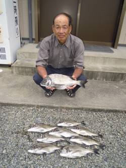湯浅の磯　紀州釣りでのチヌ釣果