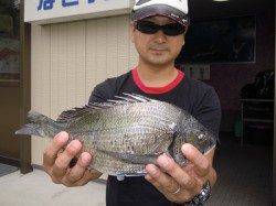 湯浅の磯　紀州釣りでのチヌ釣果