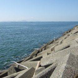 中川、揖保川周辺　投げ釣りでベラ、タコなど、遠投より近～中距離が◎