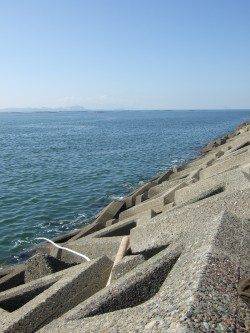 中川、揖保川周辺　投げ釣りでベラ、タコなど、遠投より近～中距離が◎