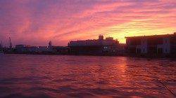 兵突 サビキとタチウオは反応なく…ぶっこみ釣でアナゴとチャリコのみ