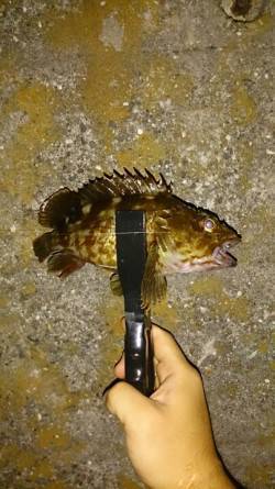 クリア系より濃い色に反応がよかったです〜舞…