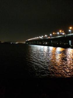 甲子園浜　ウキ釣りのタチウオ狙いは最大10…